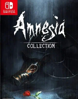 Amnesia: Collection