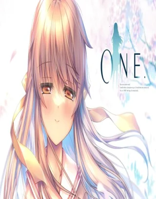 ONE. Switch NSP