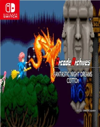 Arcade Archives FANTASTIC NIGHT DREAMS COTTOn