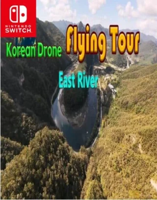 Korean Drone Flying Tour East River